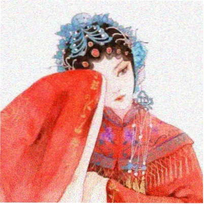 读者北岛的头像